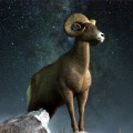 Understanding Aries Compatibility with Other Zodiac Signs